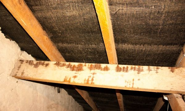 Attic Water Damage Repair Service