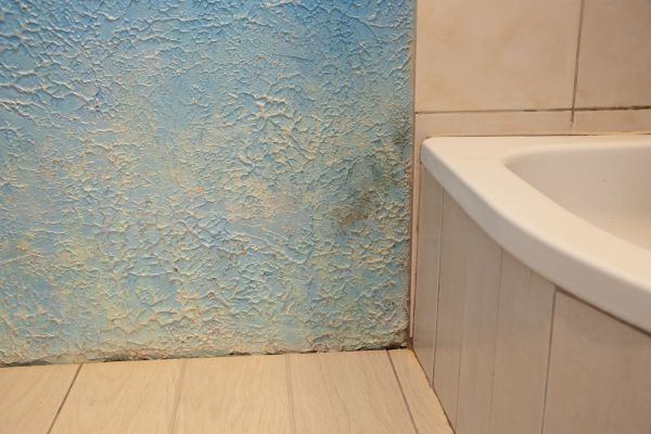 Professional Bathroom Water Damage Repair