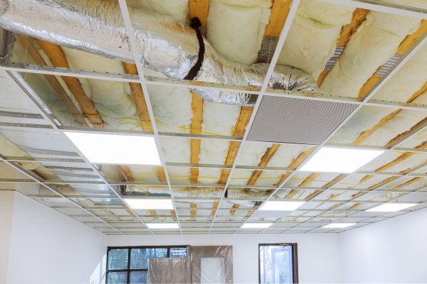 Professional Suspended Ceiling Removal